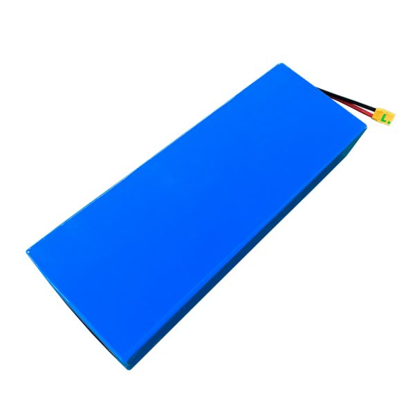 lifepo4 battery manufacturer
