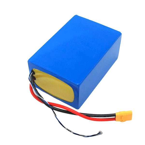 25.2v lithium ion battery