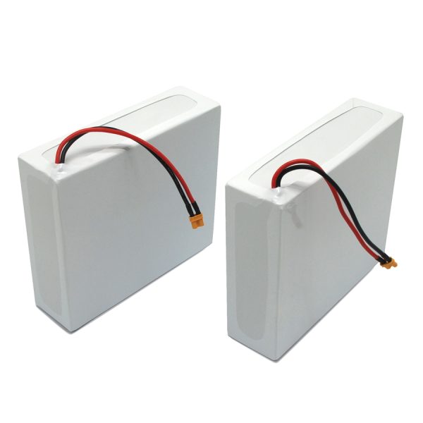 batería de 12v 20ah