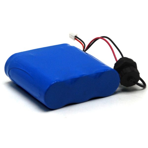 Protected 11.1V 5Ah Lithium-Ion Battery