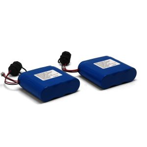 Compact 11.1V 5Ah Li-Ion Battery Module