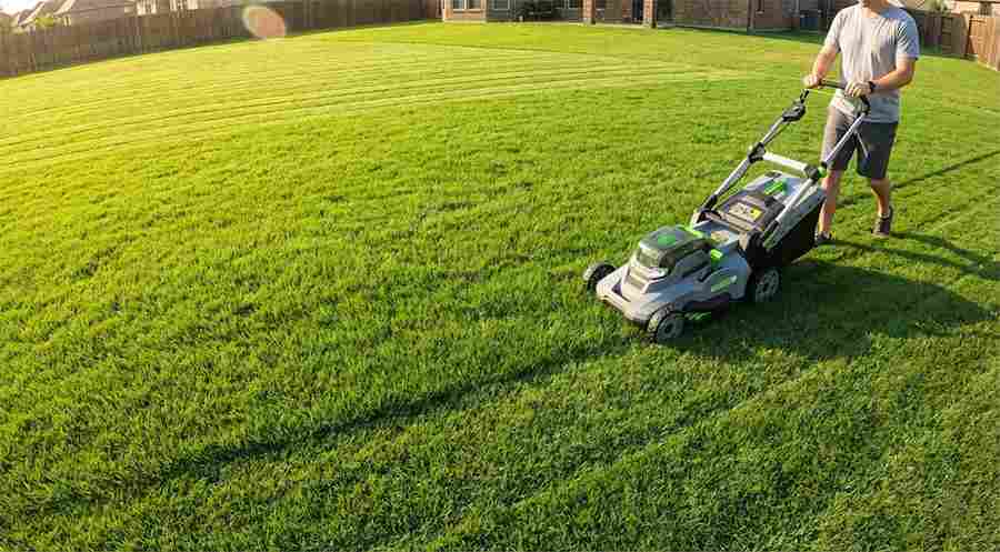 large texas lawn continuous mowing